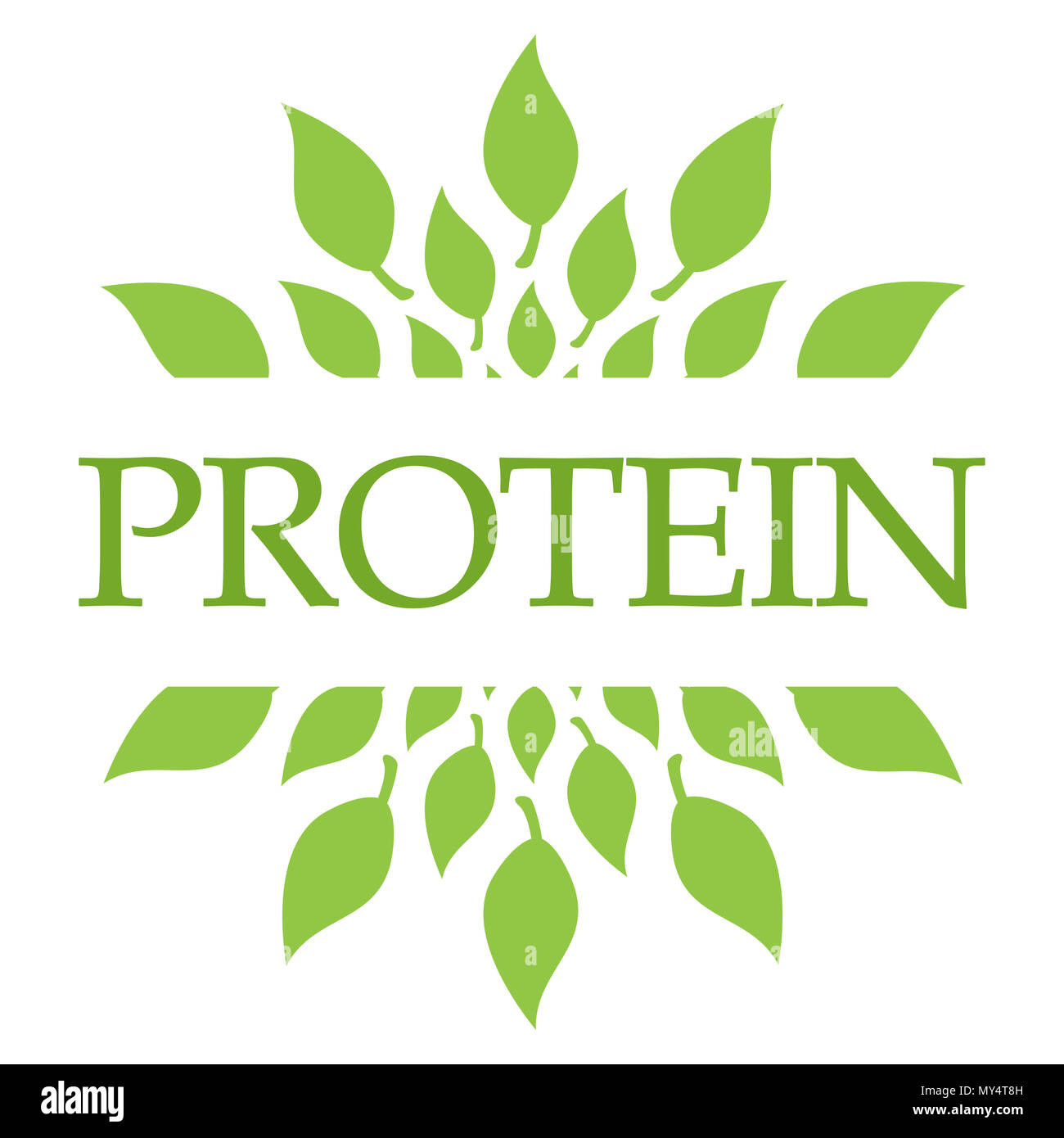 Protein